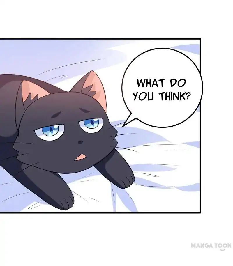 At Your Service, Kitty chapter 29 - page 7