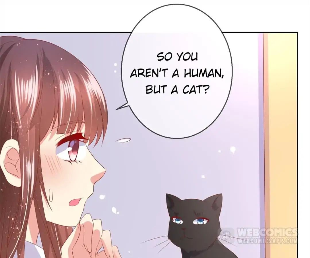 Popular Deskmate is A Cat chapter 78 - page 46