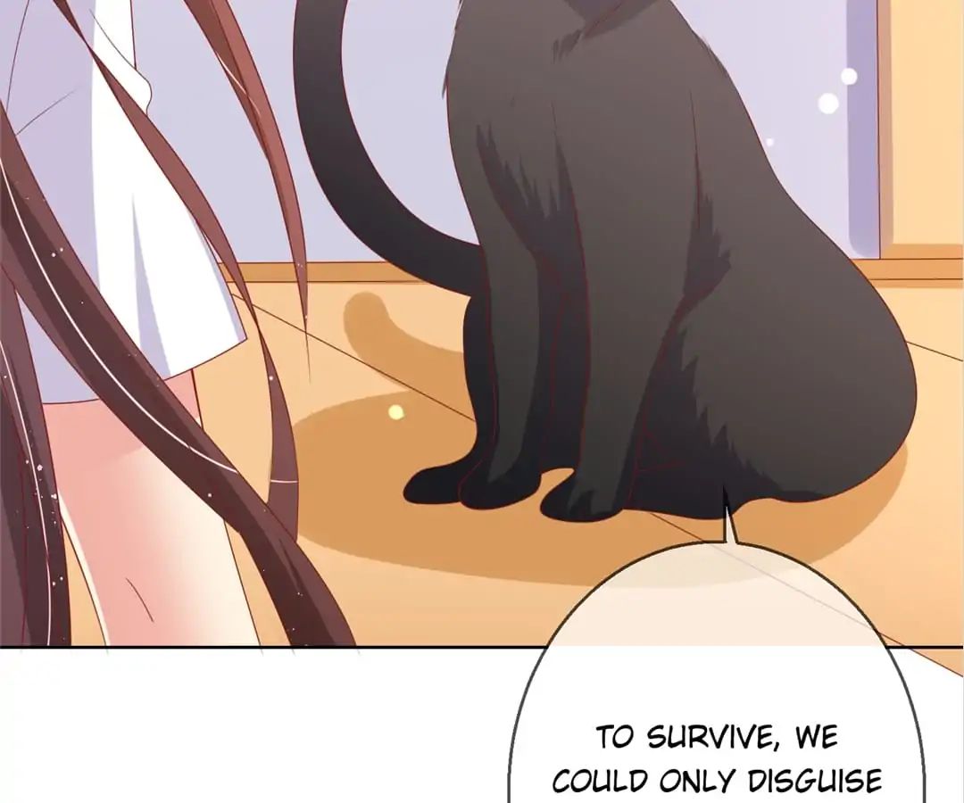 Popular Deskmate is A Cat chapter 78 - page 52