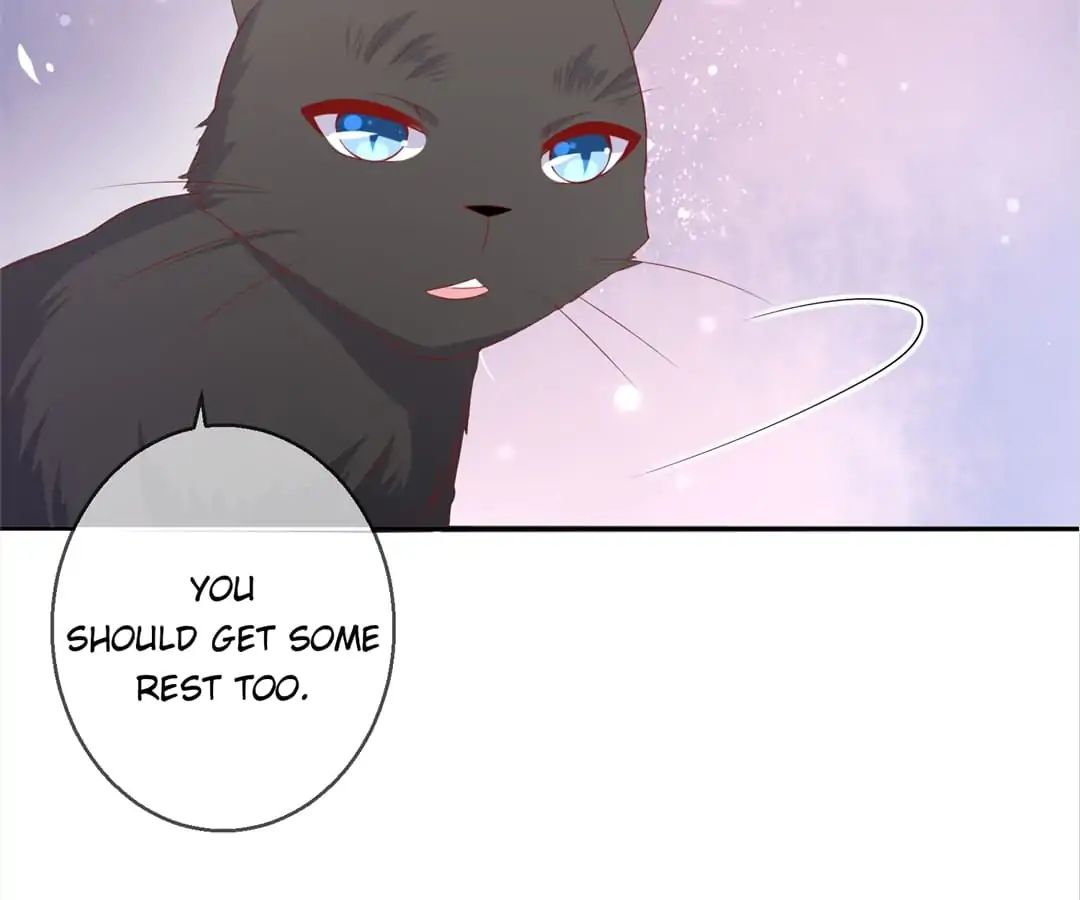 Popular Deskmate is A Cat chapter 78 - page 89