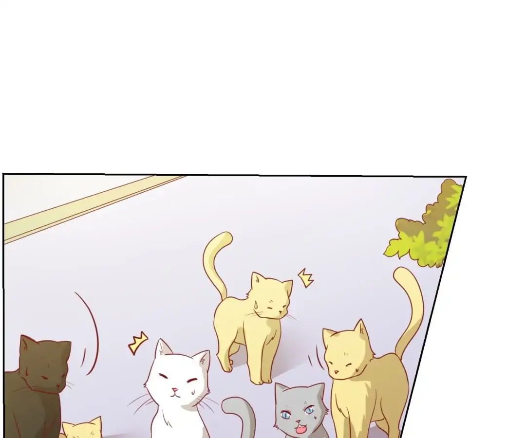 Popular Deskmate is A Cat chapter 46 - page 21