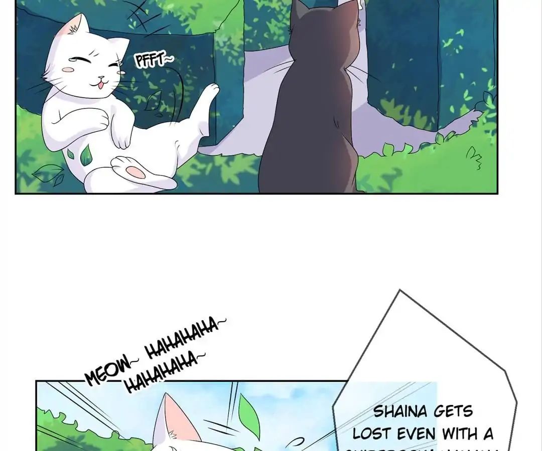 Popular Deskmate is A Cat chapter 36 - page 65