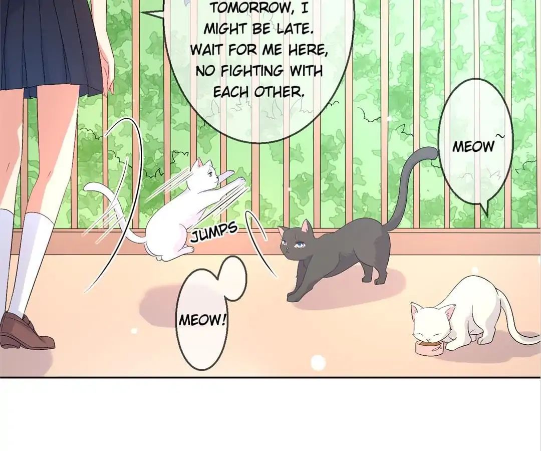 Popular Deskmate is A Cat chapter 27 - page 36