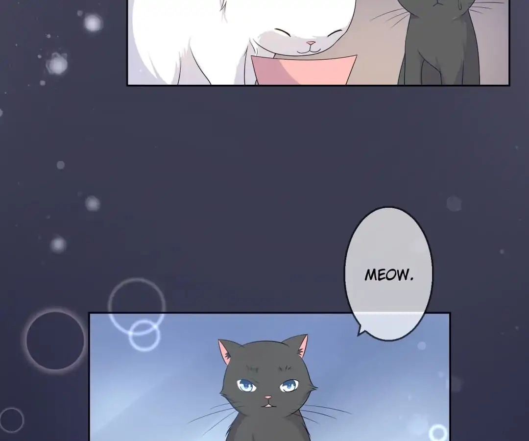 Popular Deskmate is A Cat chapter 10 - page 16