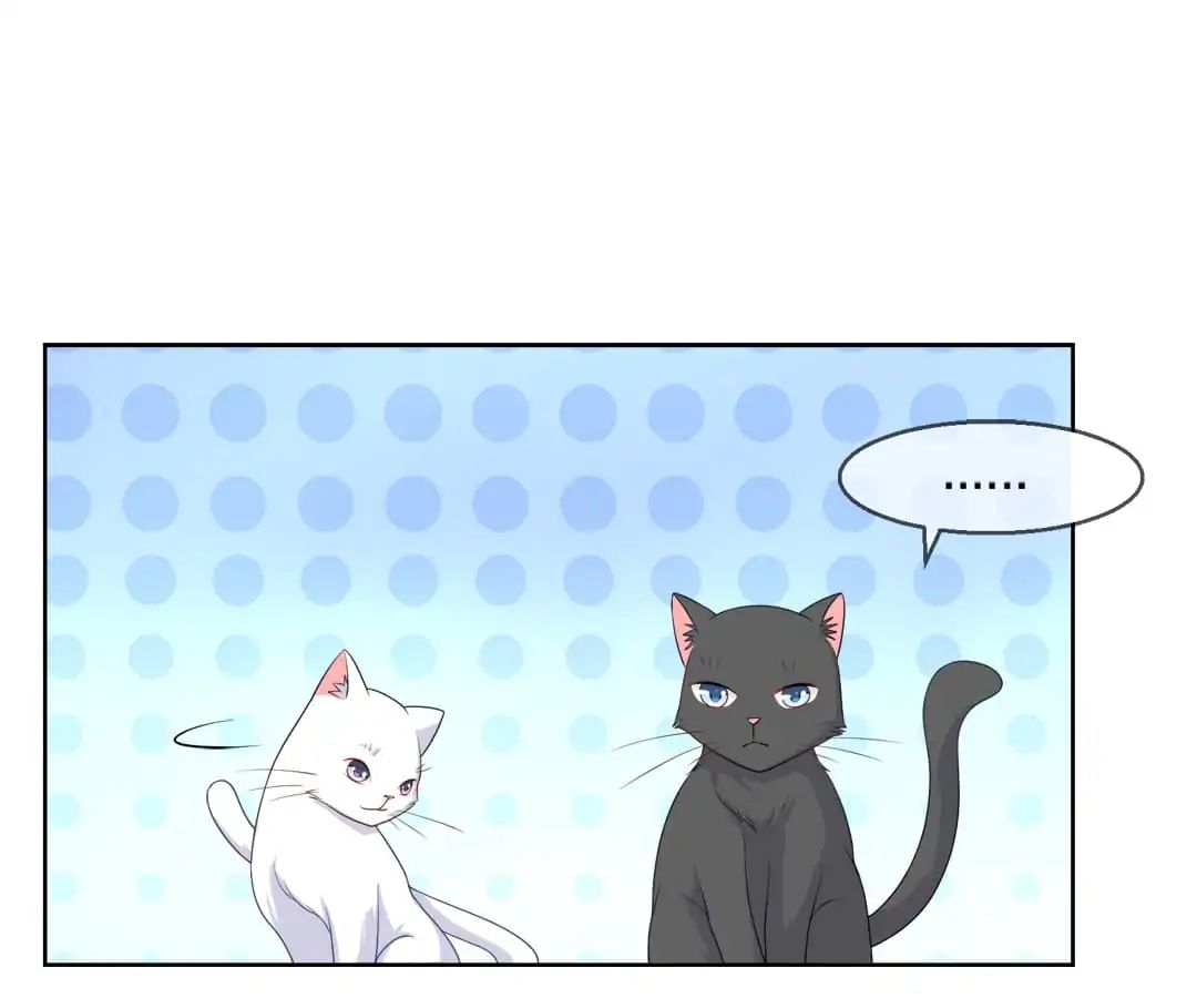 Popular Deskmate is A Cat chapter 9 - page 1