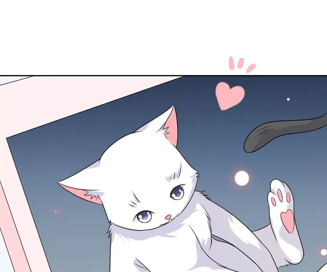 Popular Deskmate is A Cat chapter 3 - page 41