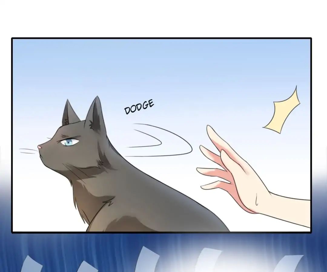 Popular Deskmate is A Cat chapter 1 - page 73