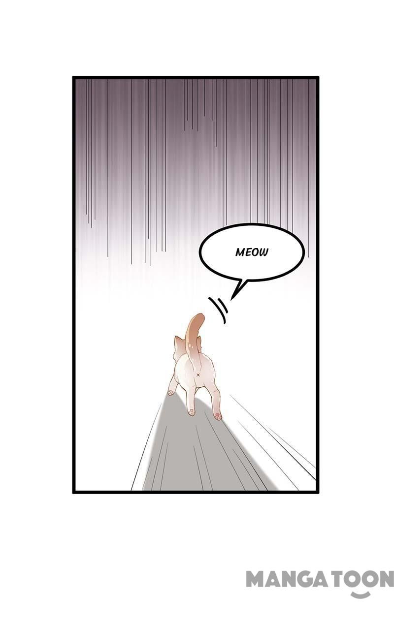 First Miss Reborn chapter 249 - page 23