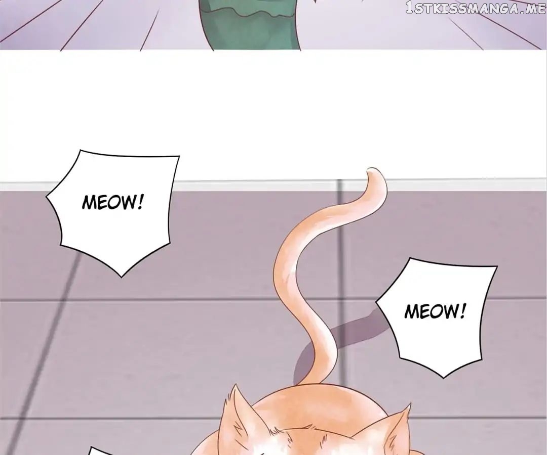 Guide to Raising Kitty Boyfriend chapter 48 - page 4