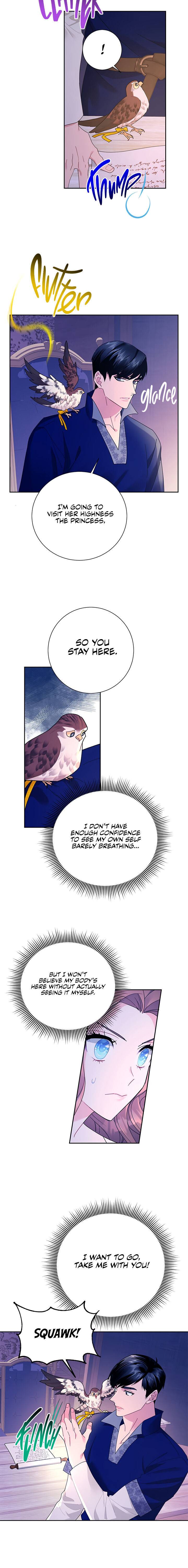 The Falcon Princess chapter 36 - page 13
