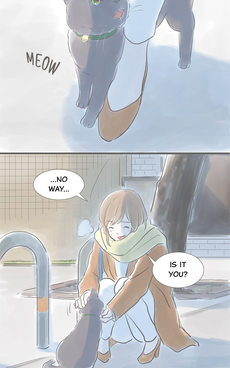 Amid the Changing Seasons Chapter 11 - page 21