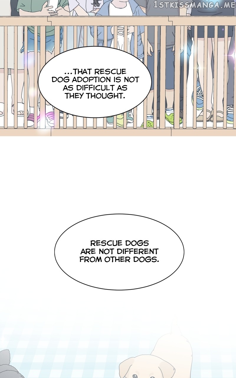 The Dog Diaries Chapter 113 - page 37