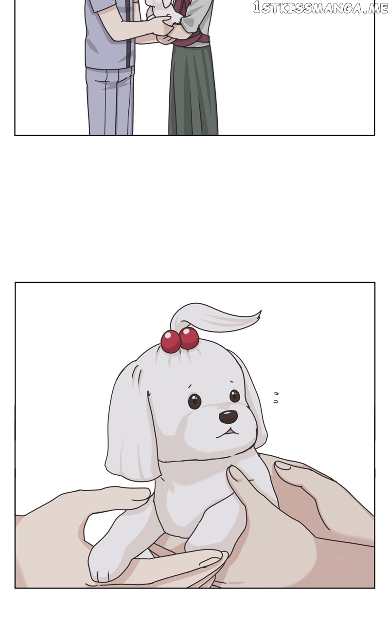 The Dog Diaries Chapter 107 - page 22