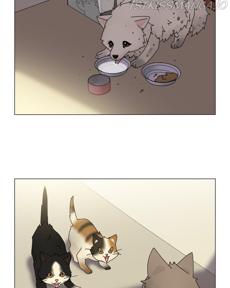 The Dog Diaries Chapter 59 - page 78