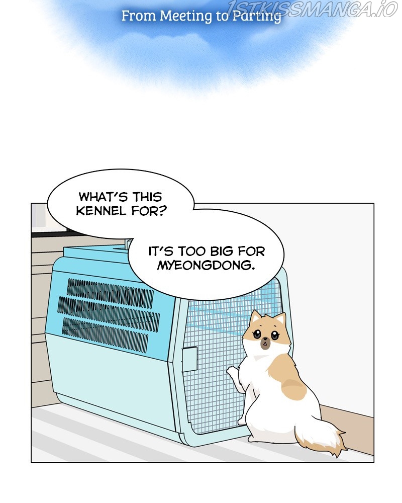 The Dog Diaries Chapter 51 - page 10