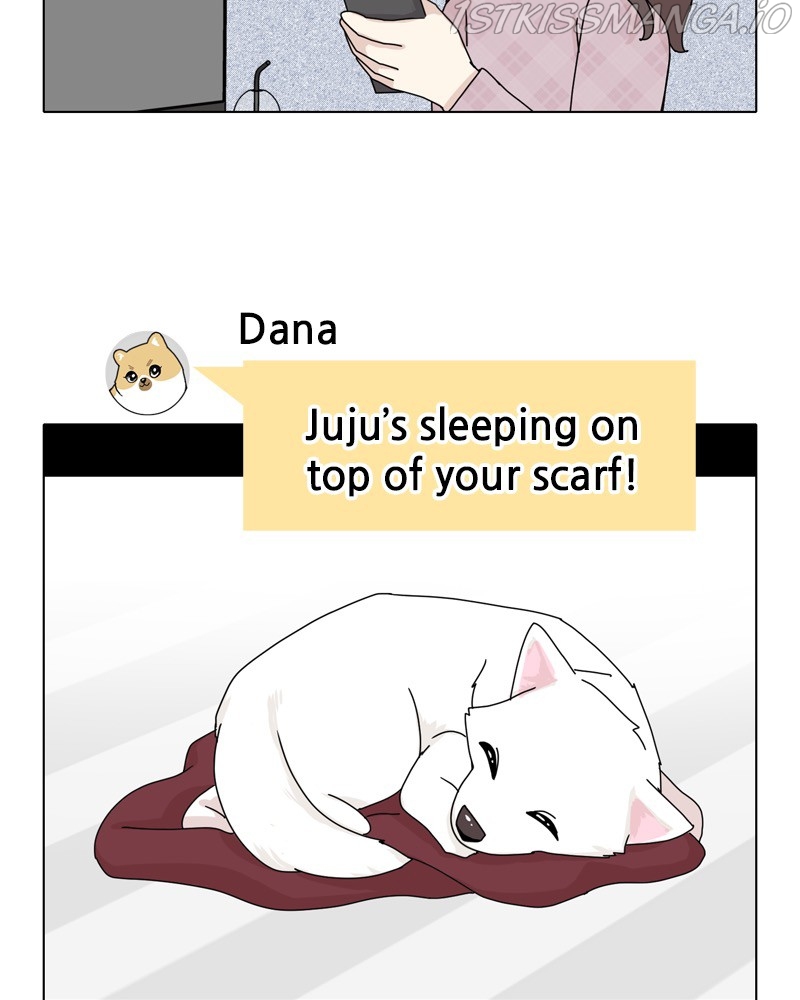 The Dog Diaries Chapter 48 - page 68