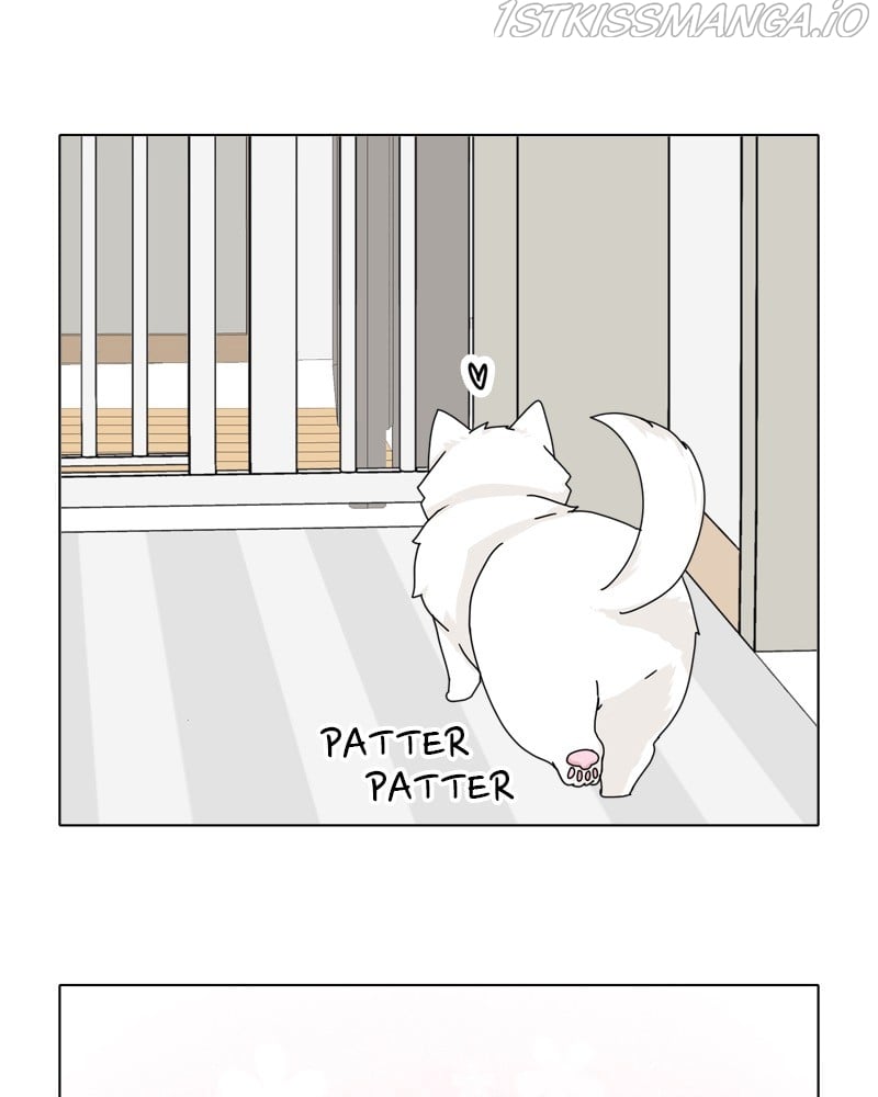 The Dog Diaries Chapter 47 - page 70