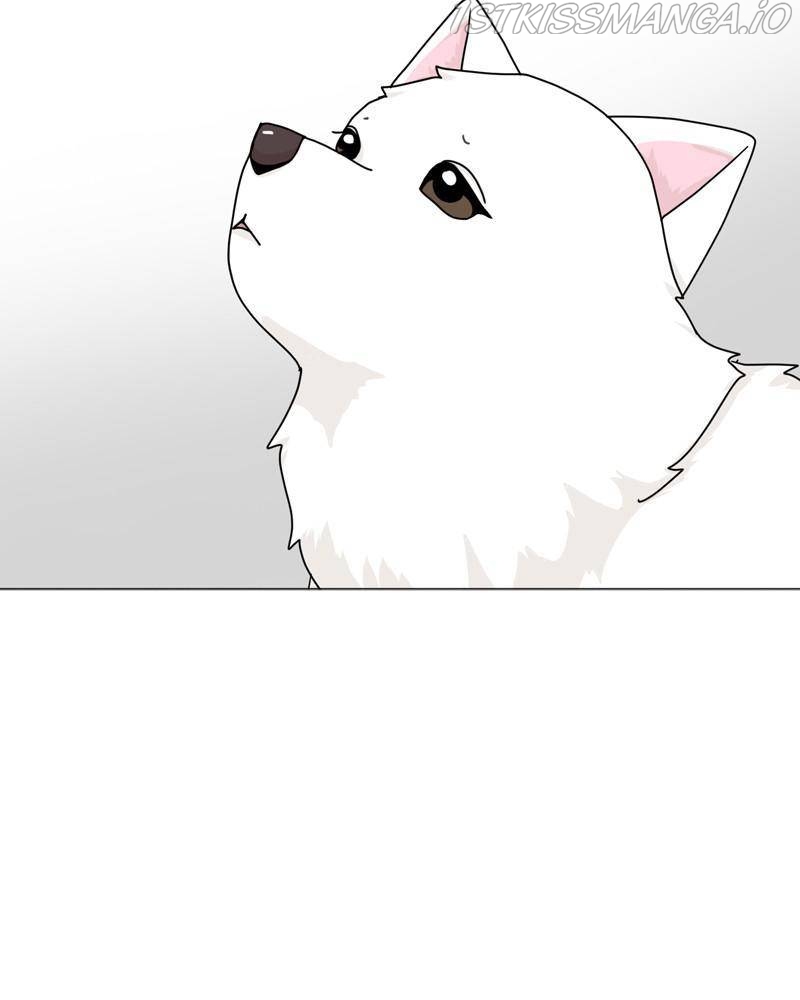 The Dog Diaries Chapter 46 - page 7