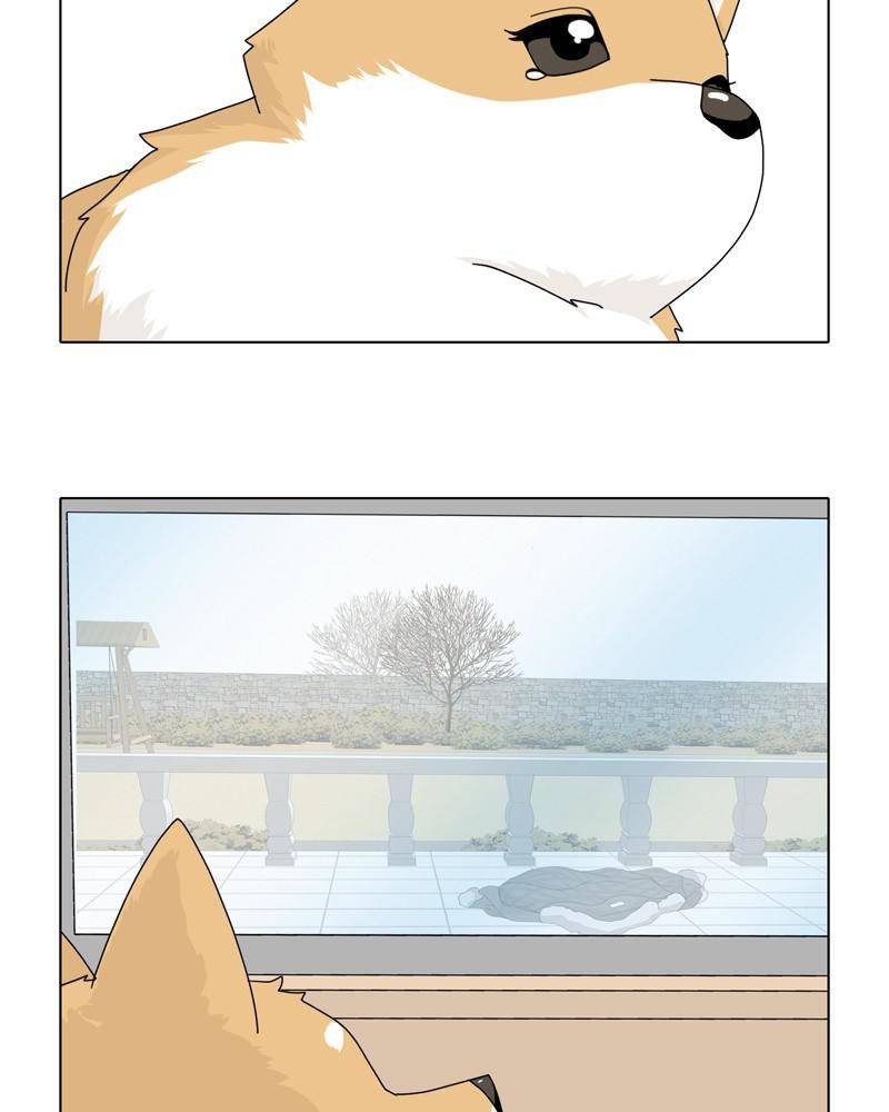 The Dog Diaries Chapter 45 - page 47