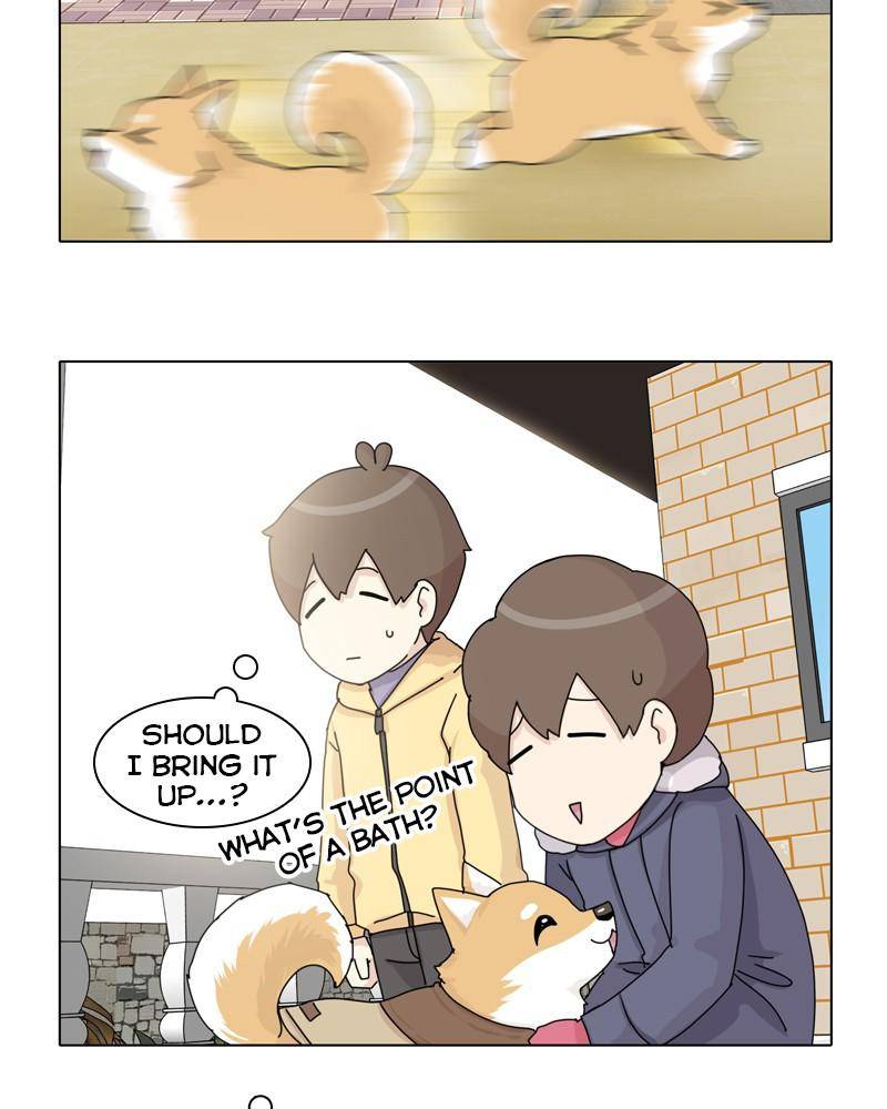 The Dog Diaries Chapter 45 - page 62