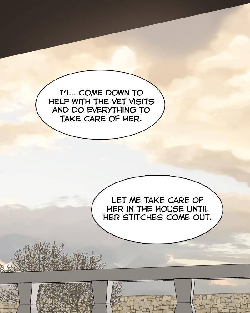 The Dog Diaries Chapter 45 - page 65