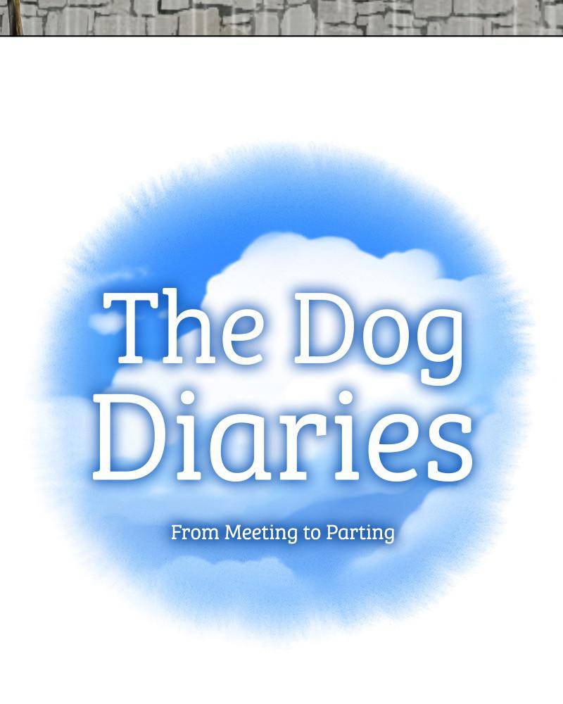 The Dog Diaries Chapter 44 - page 17