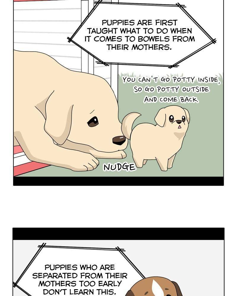 The Dog Diaries Chapter 44 - page 19