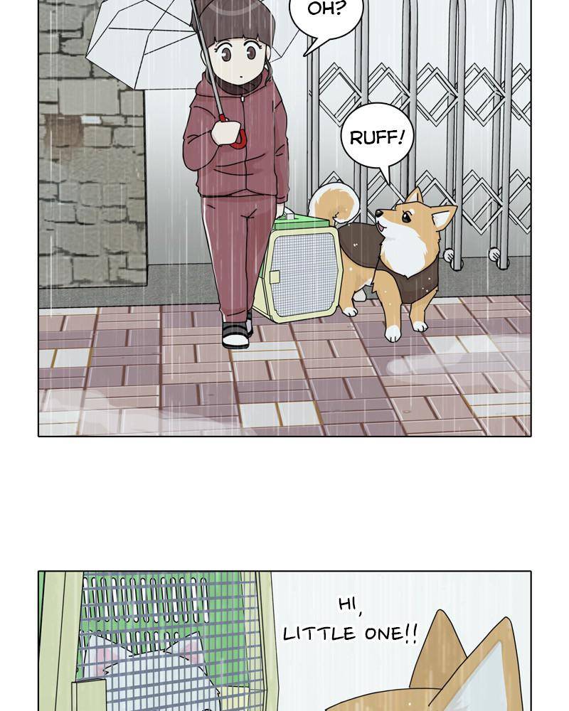 The Dog Diaries Chapter 44 - page 38