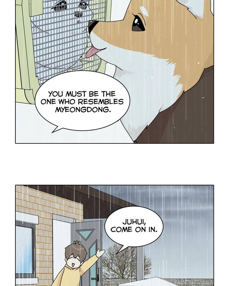 The Dog Diaries Chapter 44 - page 39