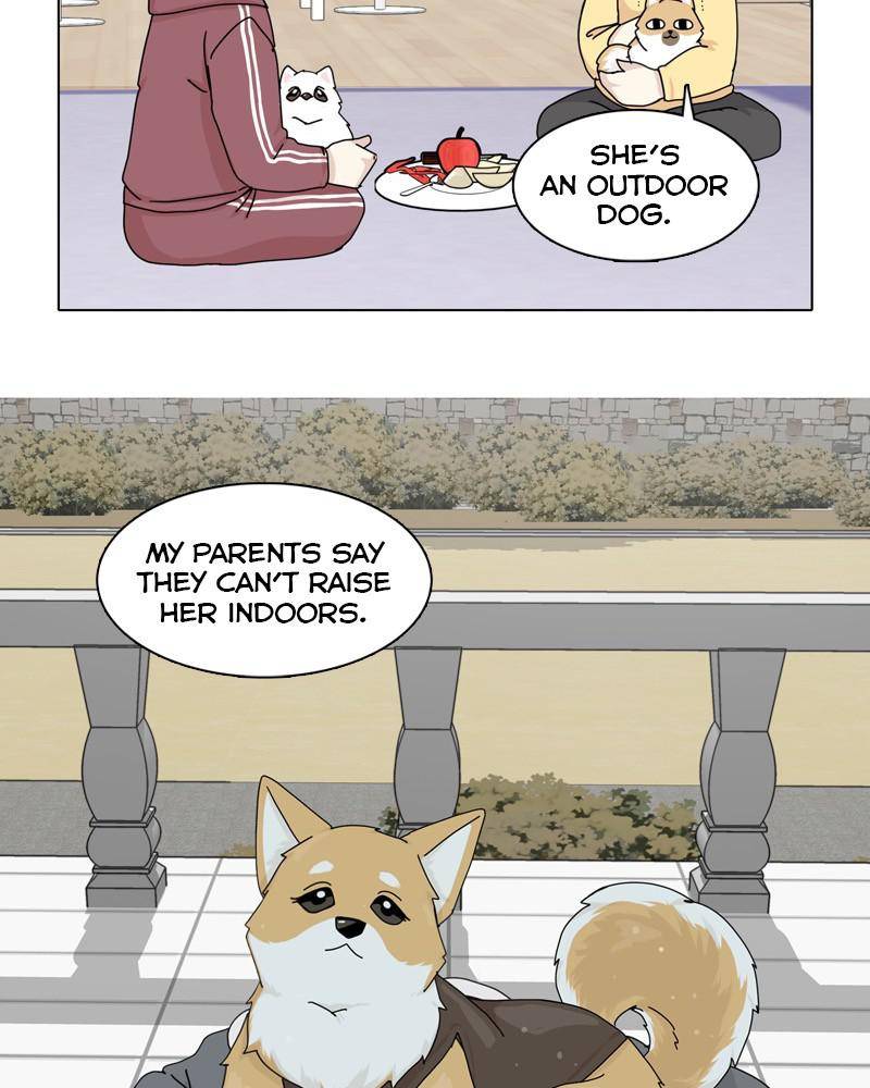 The Dog Diaries Chapter 44 - page 50