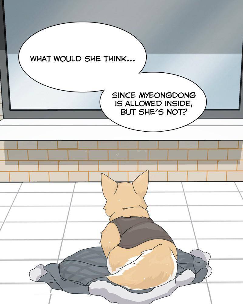 The Dog Diaries Chapter 44 - page 53