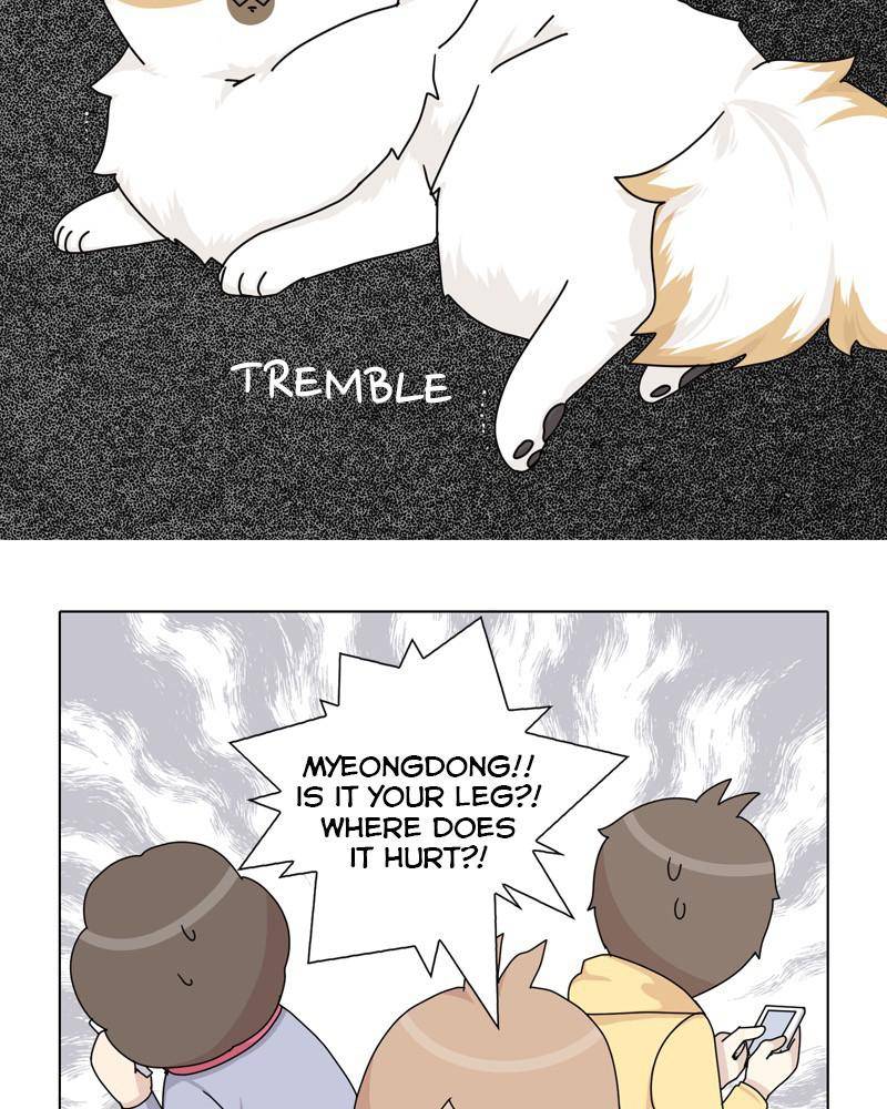 The Dog Diaries Chapter 44 - page 9