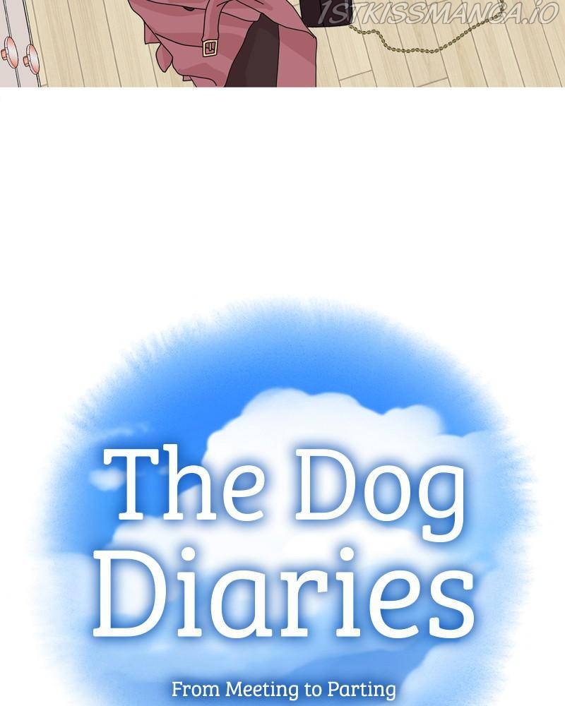 The Dog Diaries Chapter 43 - page 14