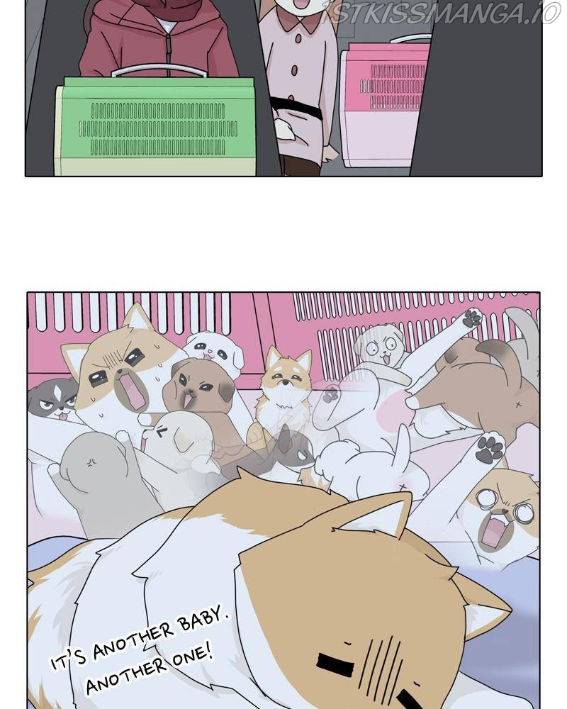 The Dog Diaries Chapter 43 - page 31