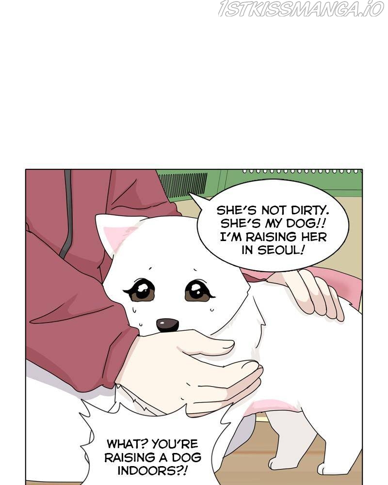 The Dog Diaries Chapter 43 - page 51