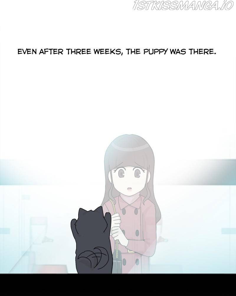 The Dog Diaries Chapter 42 - page 11