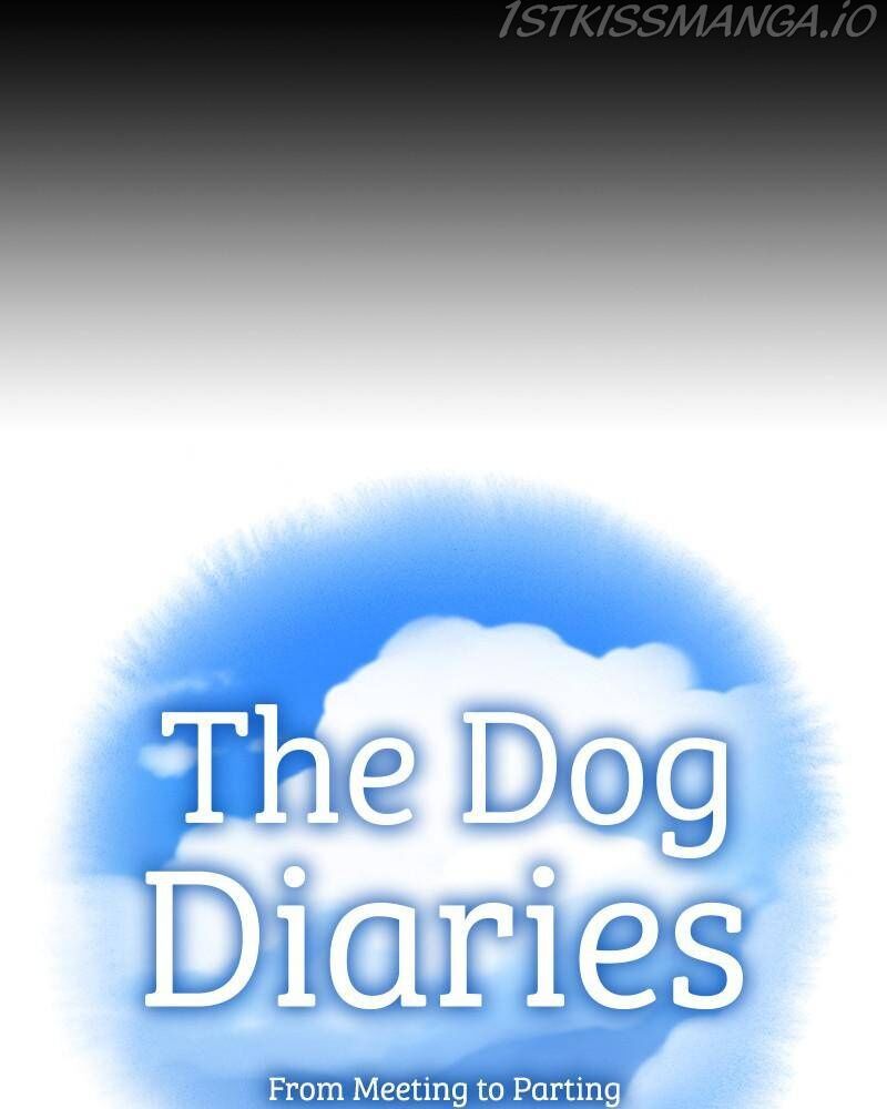 The Dog Diaries Chapter 42 - page 12