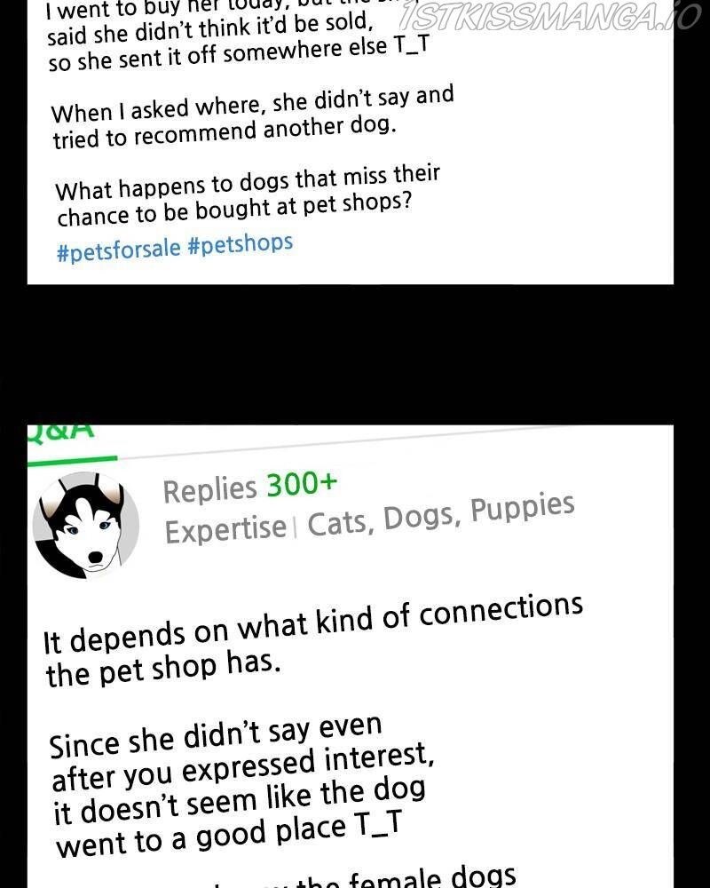 The Dog Diaries Chapter 42 - page 6