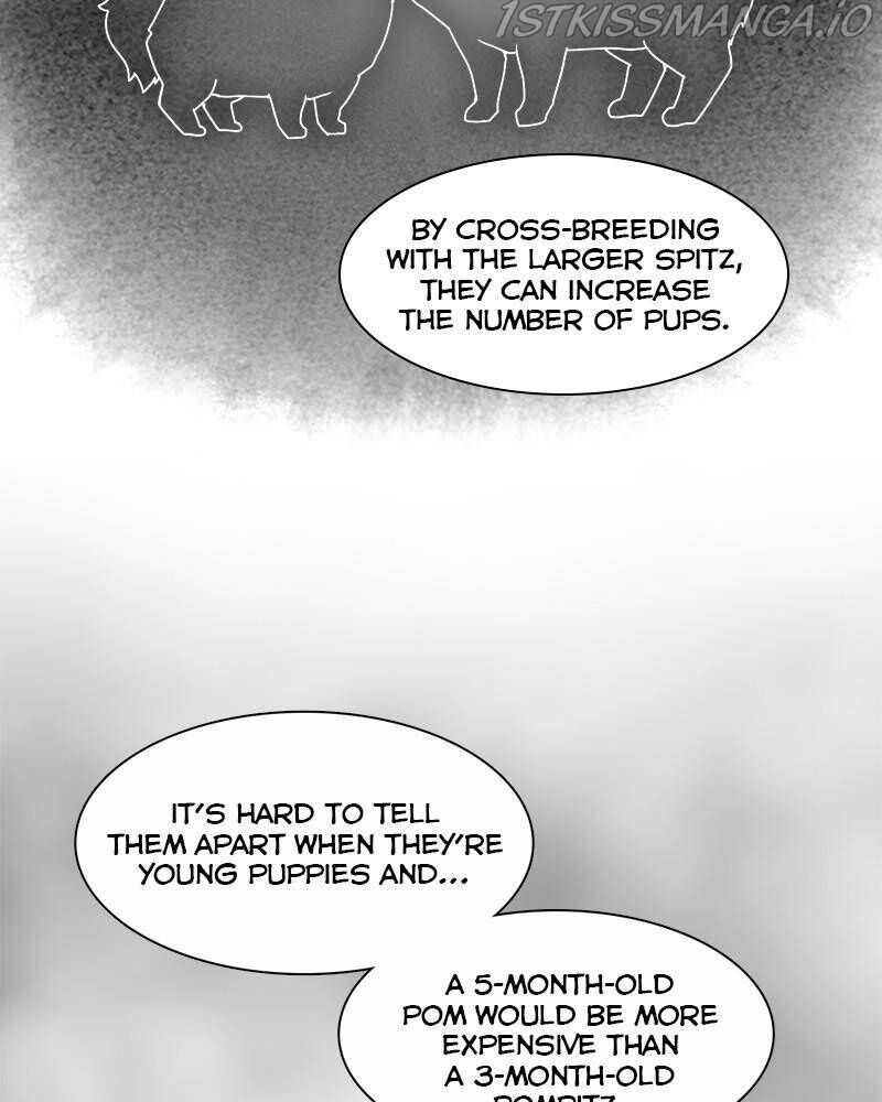 The Dog Diaries Chapter 42 - page 65