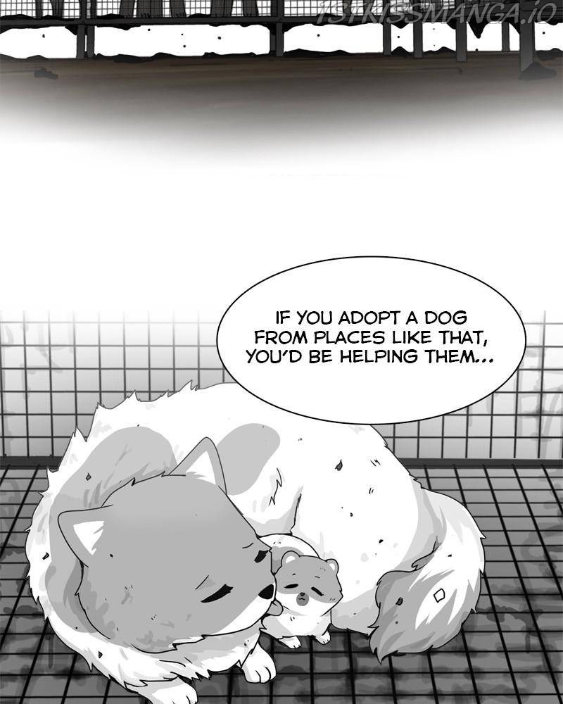 The Dog Diaries Chapter 41 - page 21