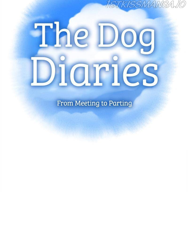 The Dog Diaries Chapter 41 - page 7