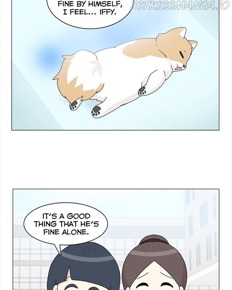 The Dog Diaries Chapter 40 - page 31