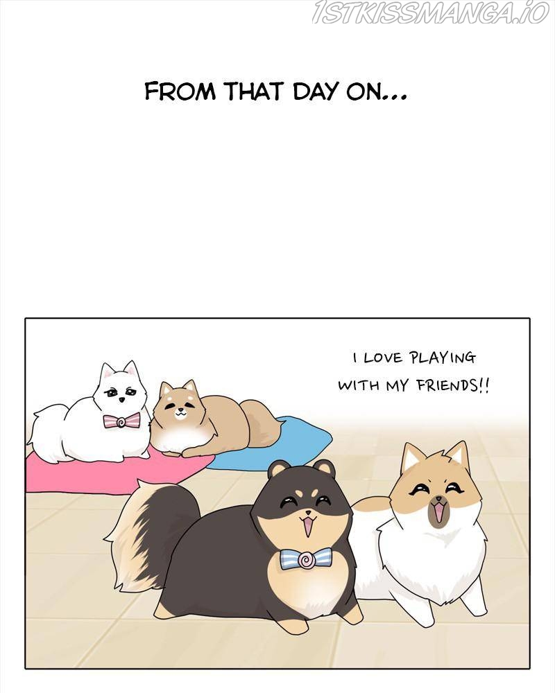 The Dog Diaries Chapter 40 - page 57