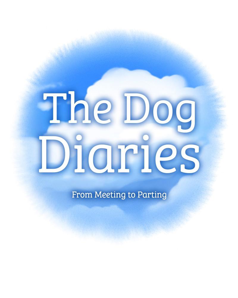 The Dog Diaries Chapter 39 - page 11