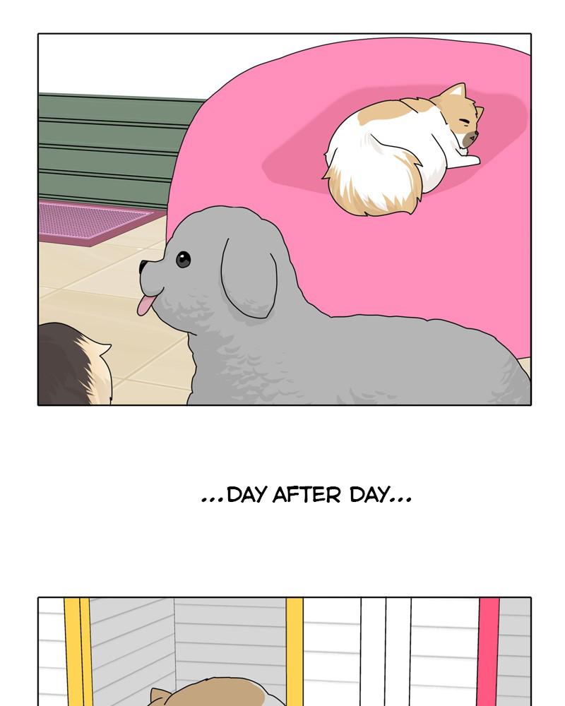 The Dog Diaries Chapter 39 - page 51