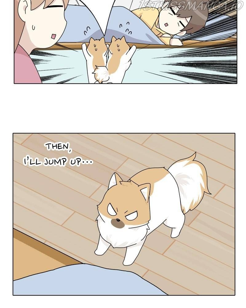 The Dog Diaries Chapter 37 - page 9