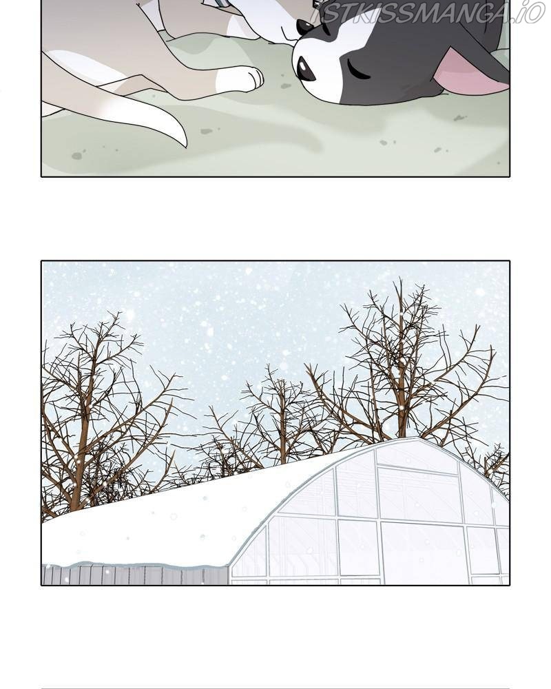 The Dog Diaries Chapter 36 - page 11