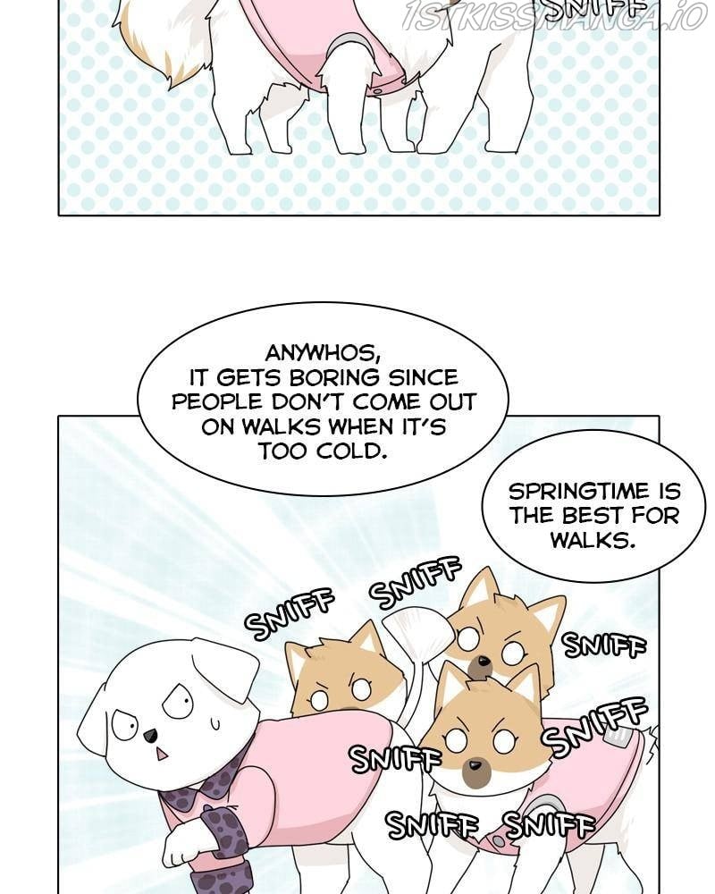 The Dog Diaries Chapter 36 - page 41