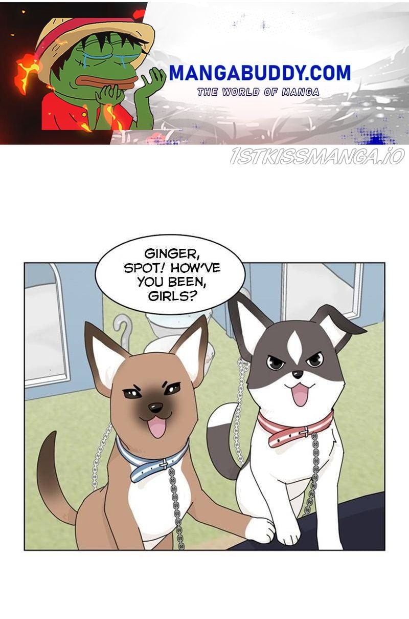 The Dog Diaries Chapter 35 - page 1