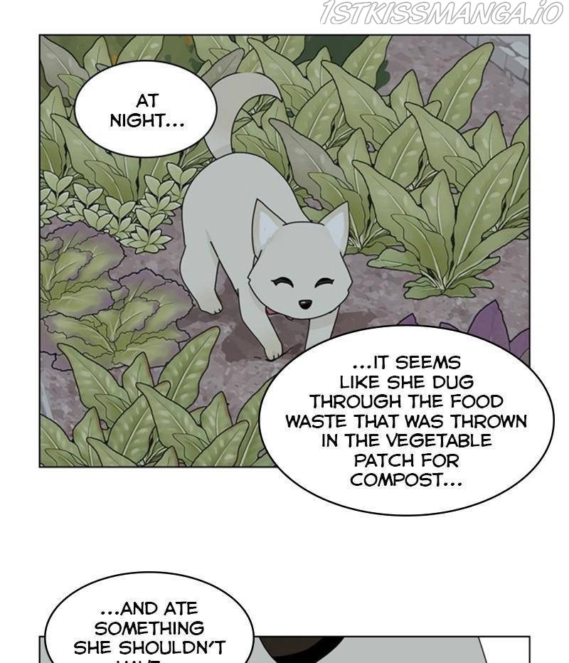 The Dog Diaries Chapter 35 - page 33